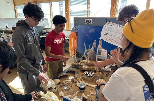 Curley Beyond The Classroom: Exploring Ecosystems